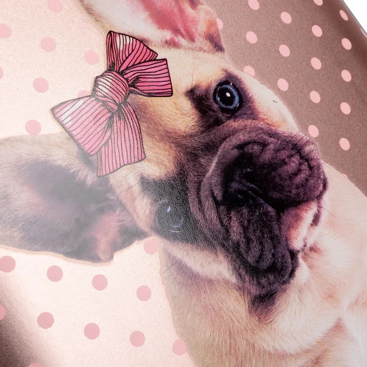 Рюкзак школьный каркасный 1Вересня H-29 Dolly Dog (559516) фото 13