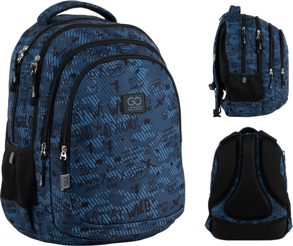 Рюкзак GoPack teens 162M-5 (go25-162m-5) фото 