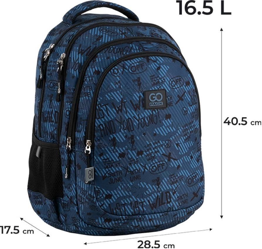 Рюкзак GoPack teens 162M-5 (go25-162m-5) фото 