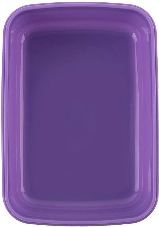 Ланчбокс Kite My Little Pony (LP25-160) фото