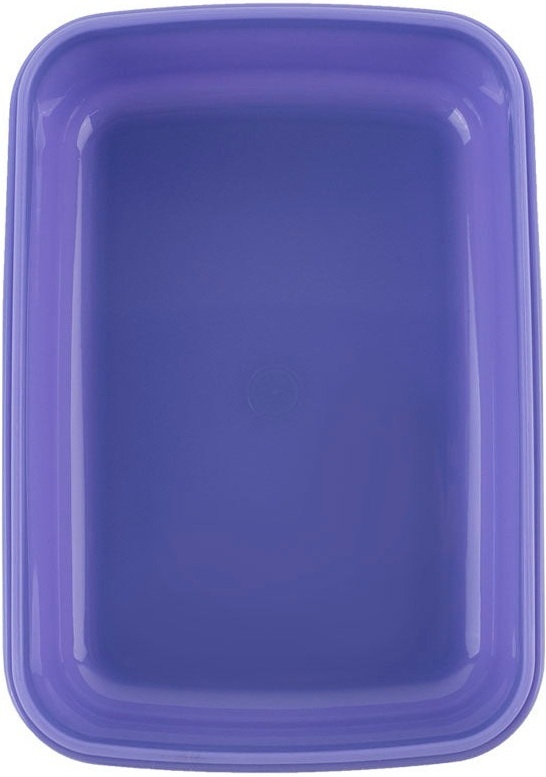 Ланчбокс Kite Rachael Hale (r25-160)фото5