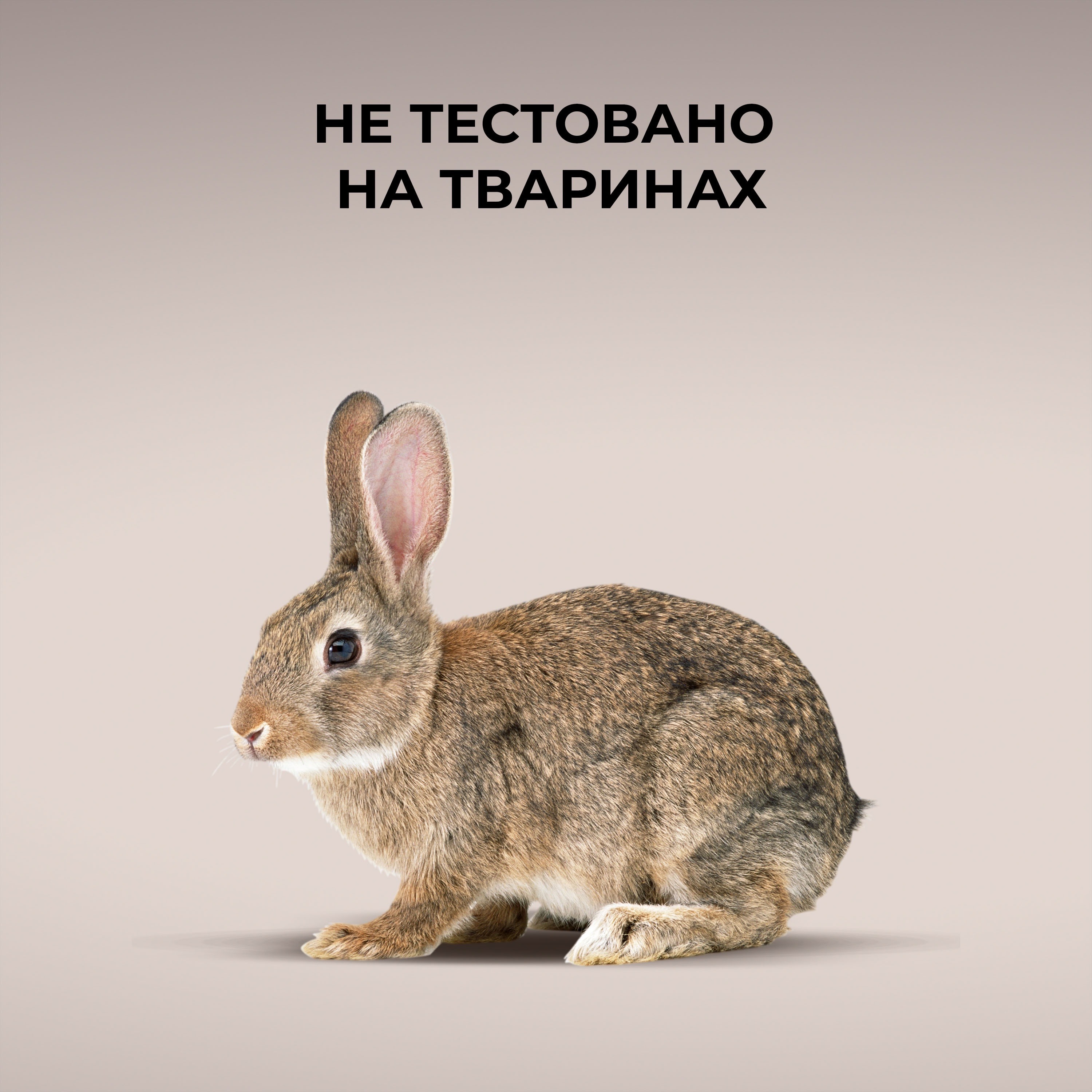 Набір OGX Кокосовий догляд для живлення волосся 385+385млфото