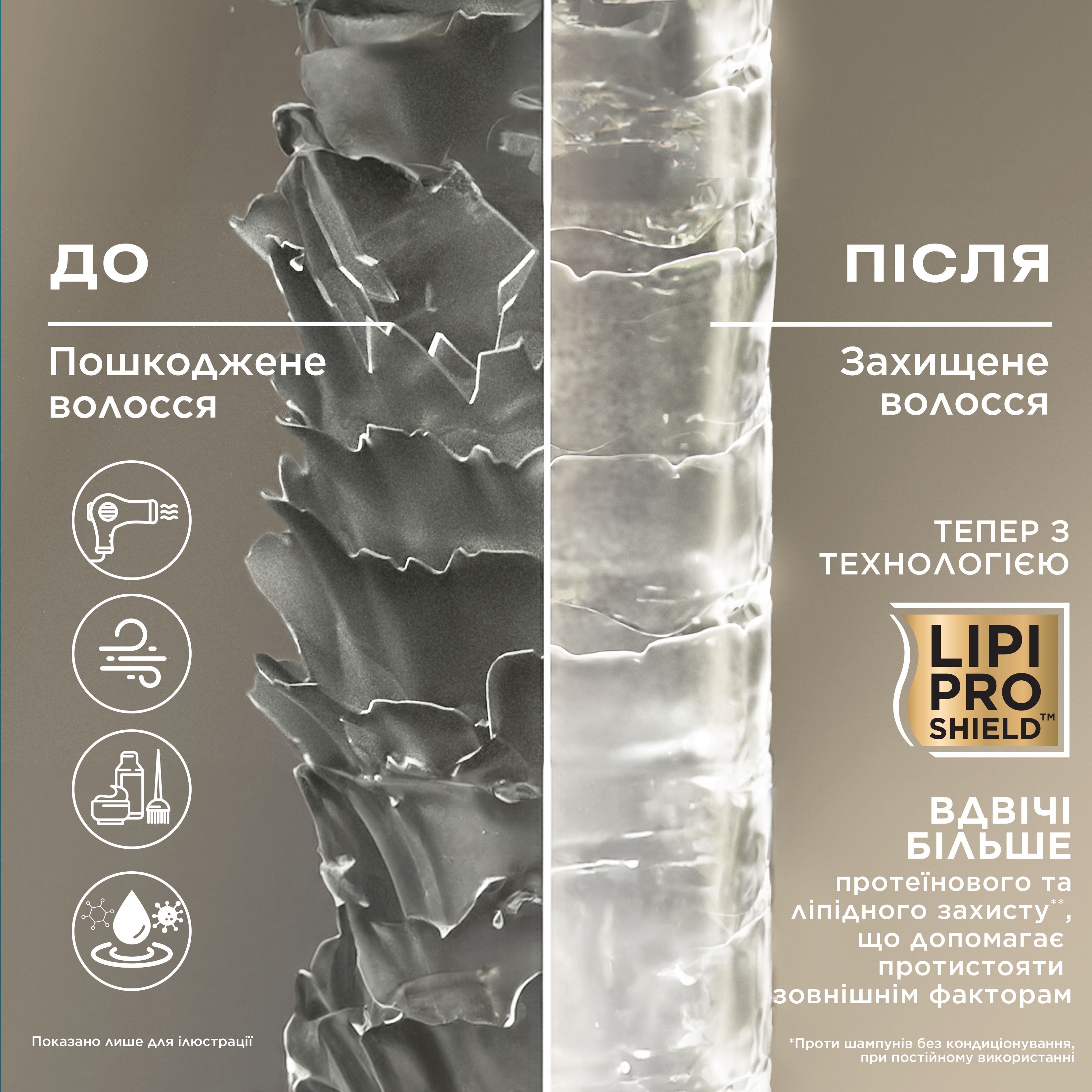 Набір OGX Кокосовий догляд для живлення волосся 385+385млфото
