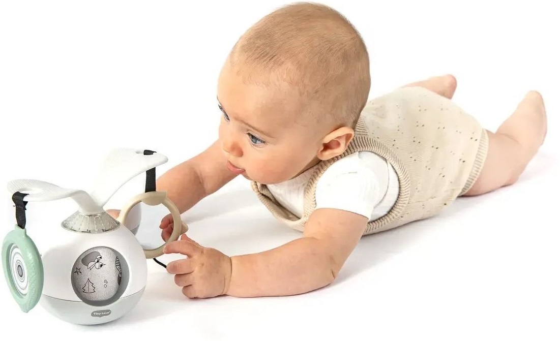 Музична іграшка Tiny Love Нічна галявина (1308706830)фото9