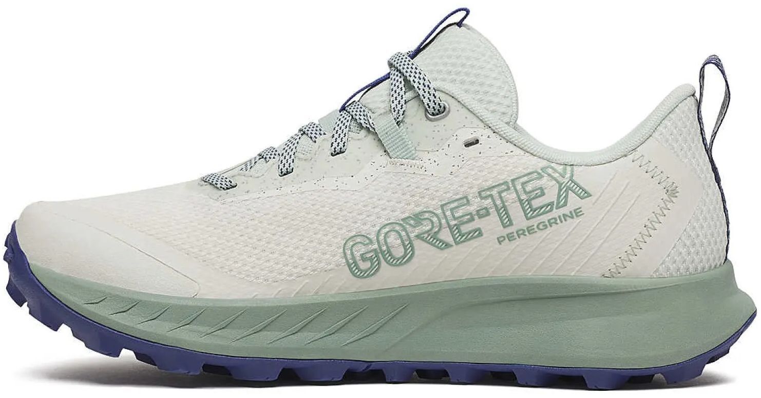 Кроссовки для бега женские Saucony Peregrine 15 GTX S10992-260 37 (6 US) мятные фото 