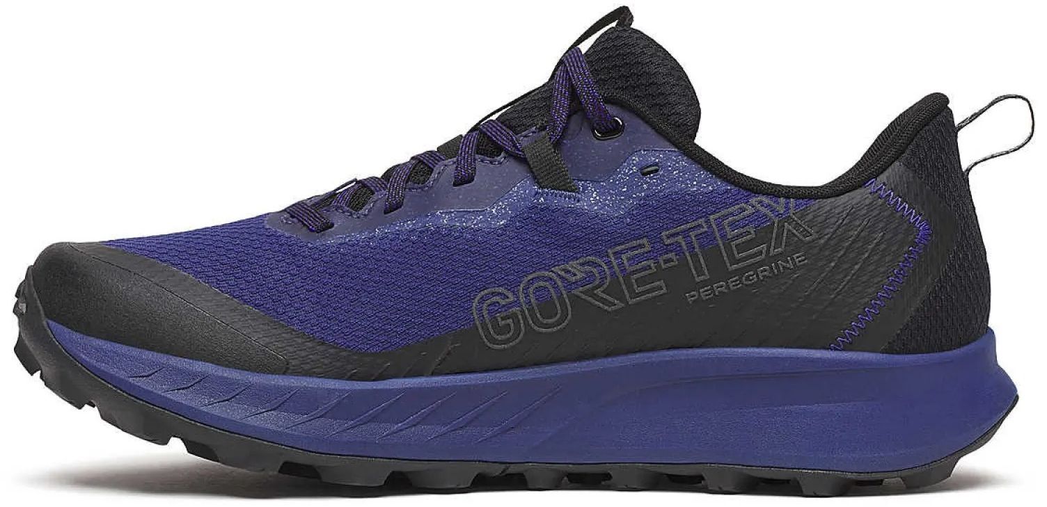 Кроссовки для бега мужские Saucony Peregrine 15 GTX S20992-262 41 (8 US) синие фото 2