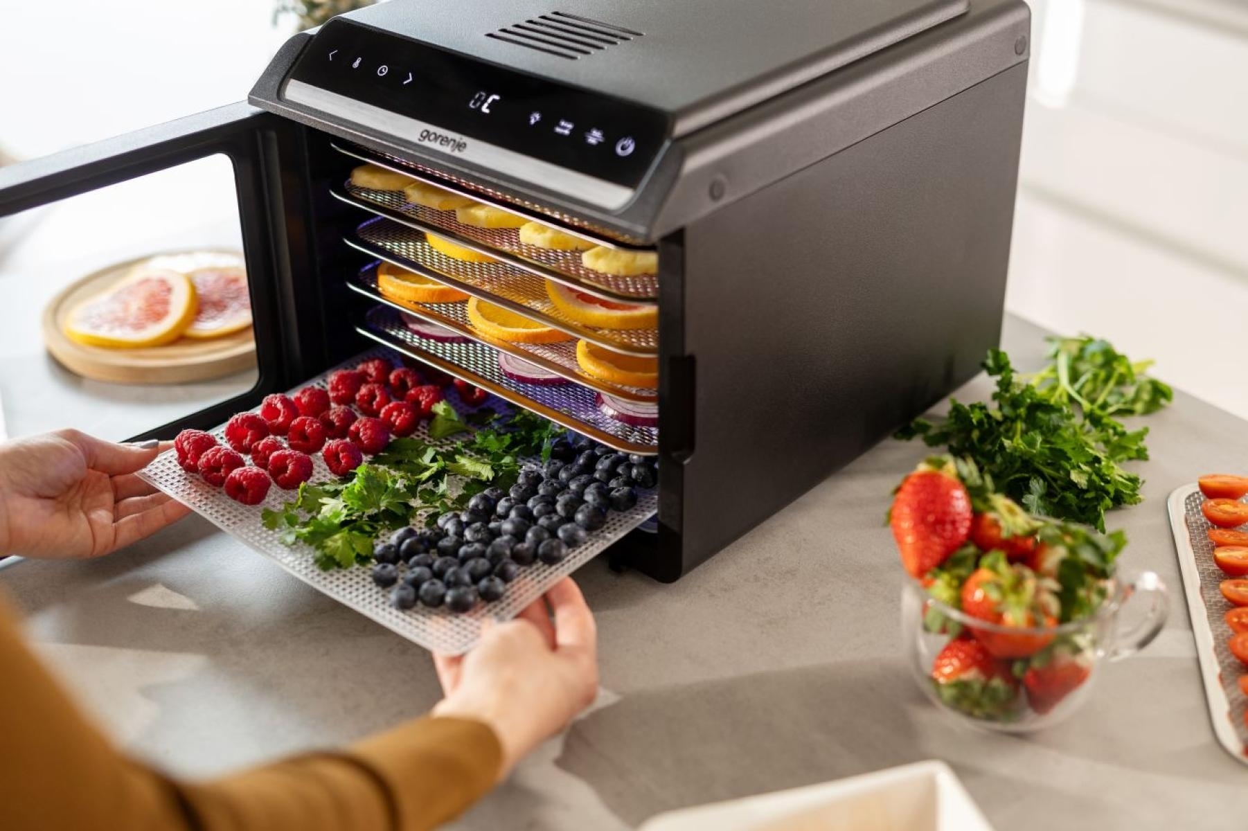 Сушка для продуктов Gorenje FDK600DB фото 