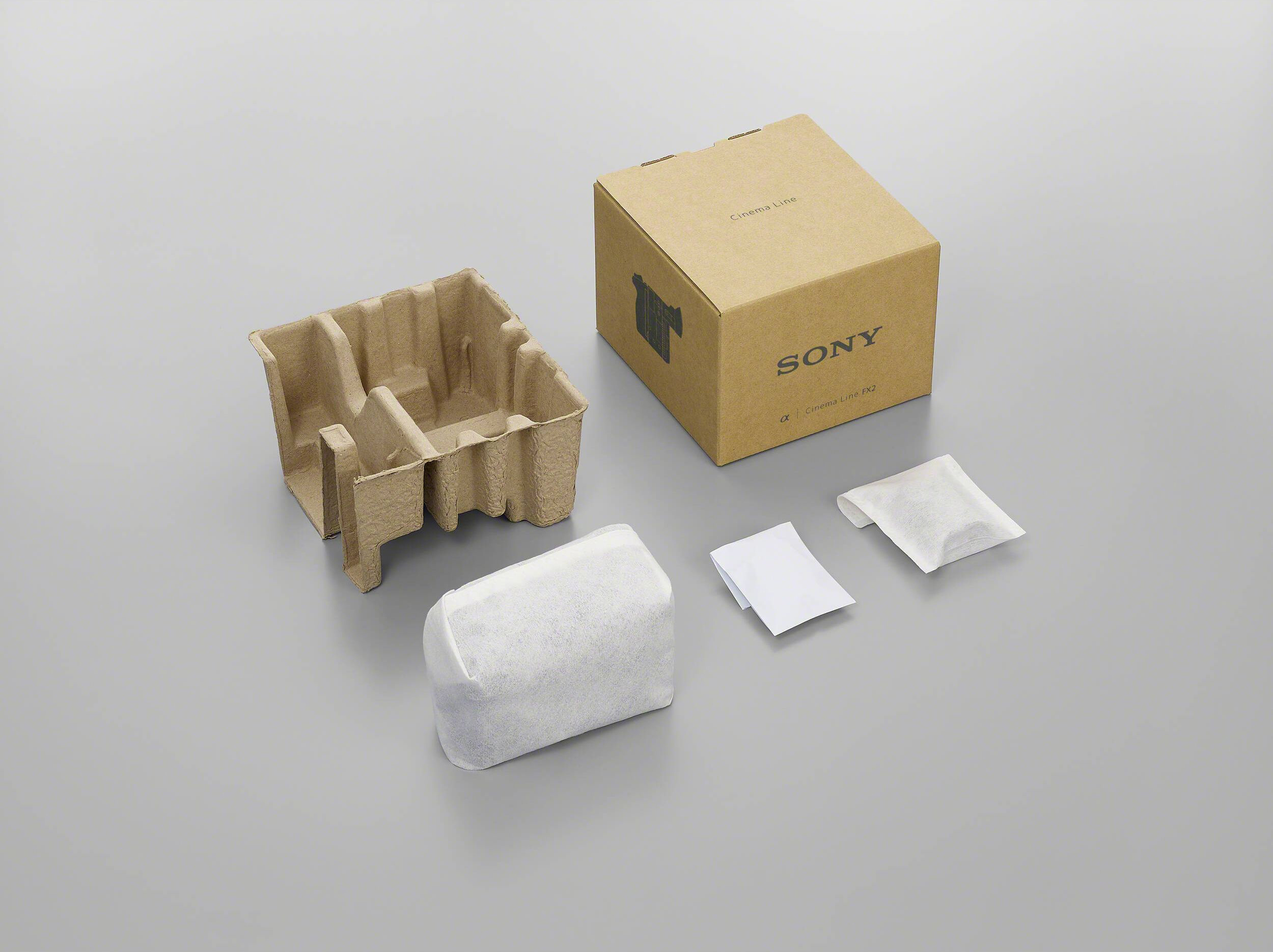 Відеокамера SONY FX2 Body (IILMEFX2B.CEC)фото8