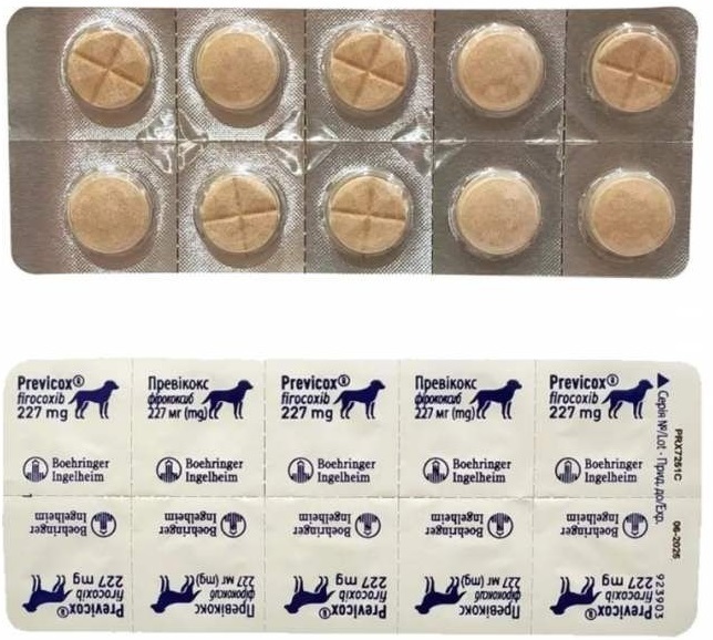 Превикокс (фирококсиб) L 227 мг 10 таб фото 2