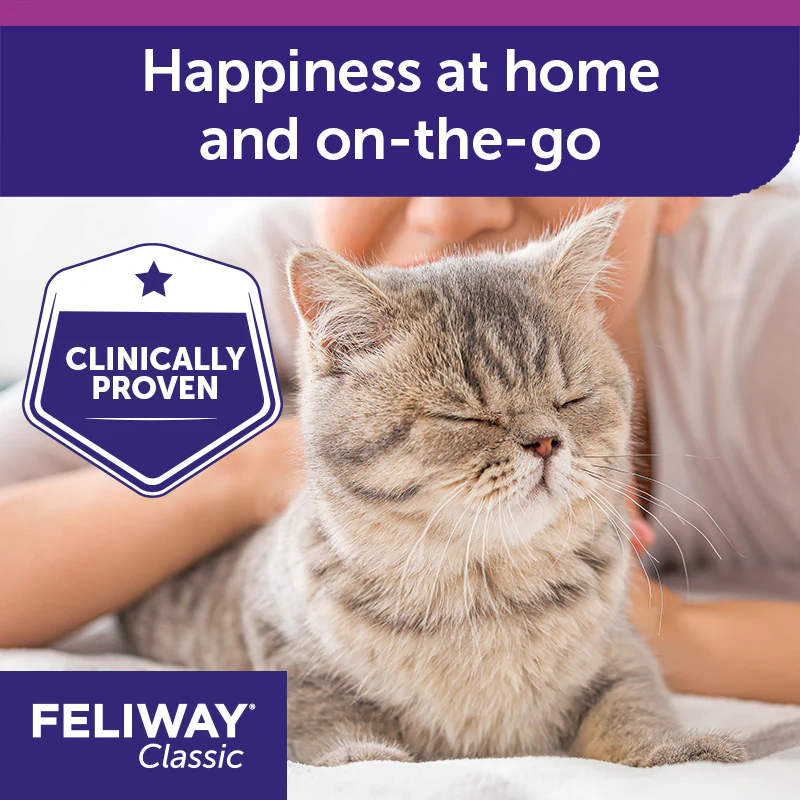 Спрей для котов Ceva Feliway Classic успокаивающий 20 мл фото 