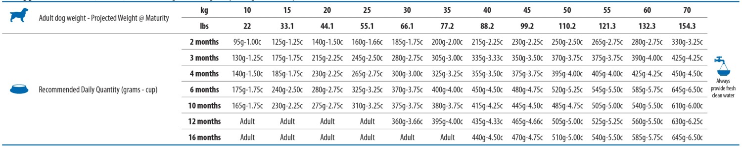 Сухой корм для собак Farmina Team Breeder Dog Puppy Medium 20 кг фото