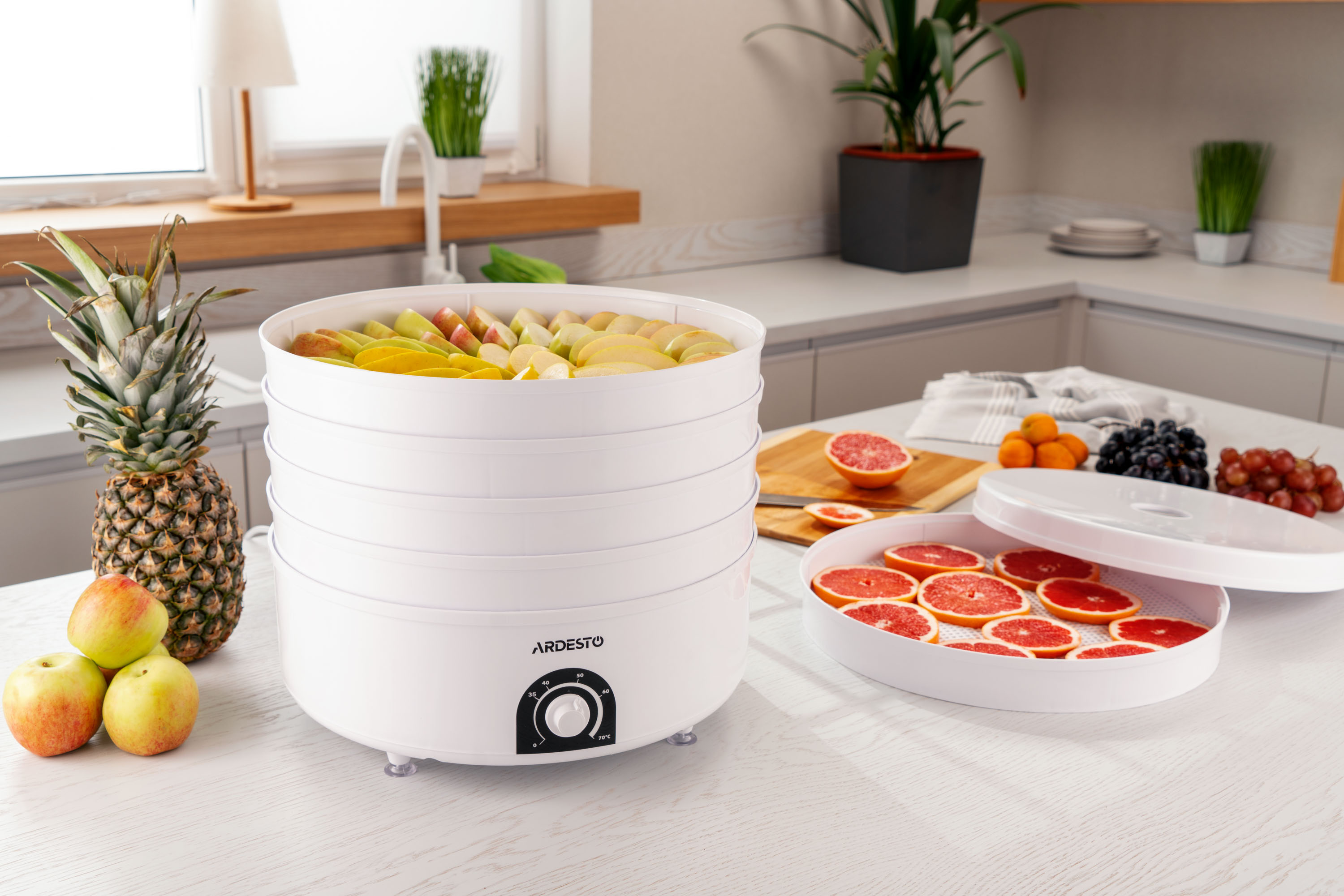 Комплект Сушка для овощей и фруктов ARDESTO FDB-5385+Вакуумный упаковщик Gorenje VS120W фото 15