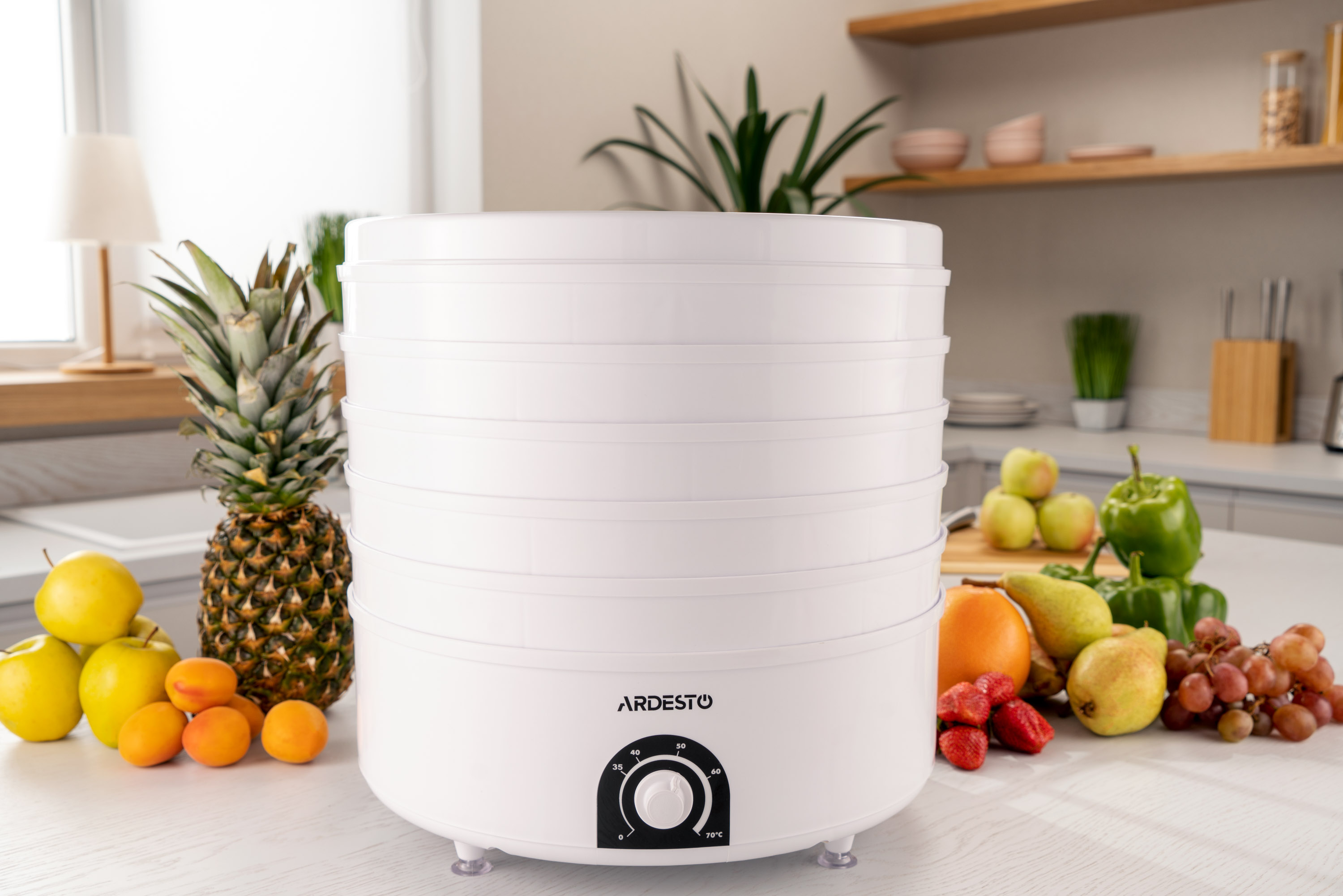 Комплект Сушка для овощей и фруктов ARDESTO FDB-5385+Вакуумный упаковщик Gorenje VS120W фото 16