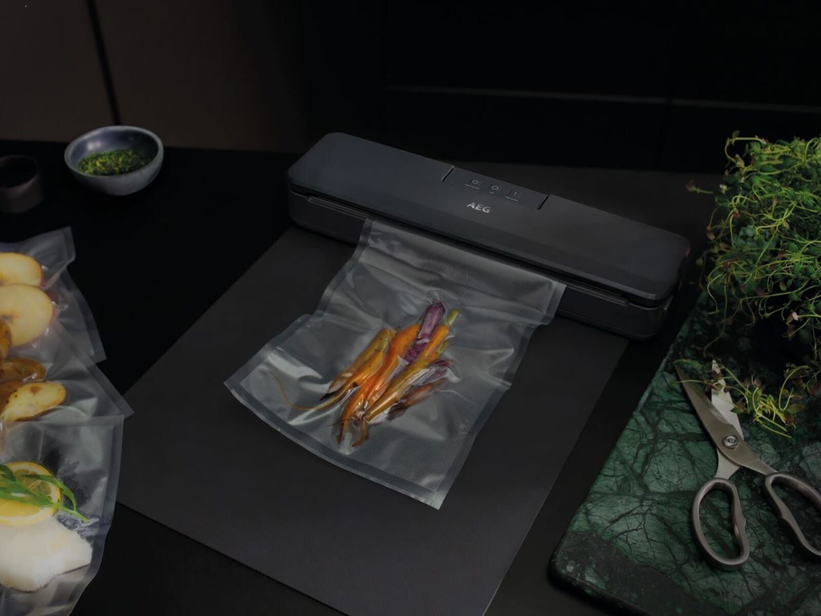 Комплект Сушка для овощей и фруктов ARDESTO FDB-5321T+Вакуумный набор AEG VS4-1-4AG фото 19