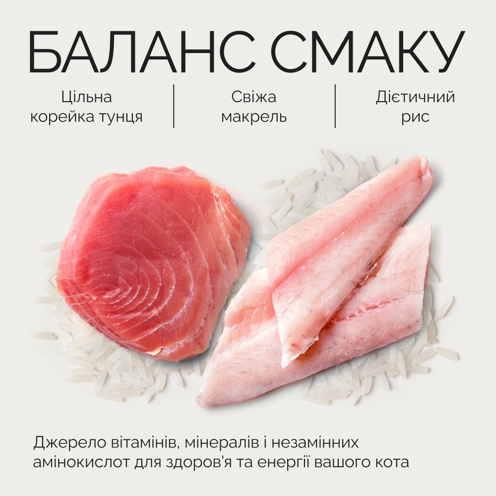Корм вологий для дорослих котів Savory for Adult Cats філе тунця з макреллю в желе 70 гфото