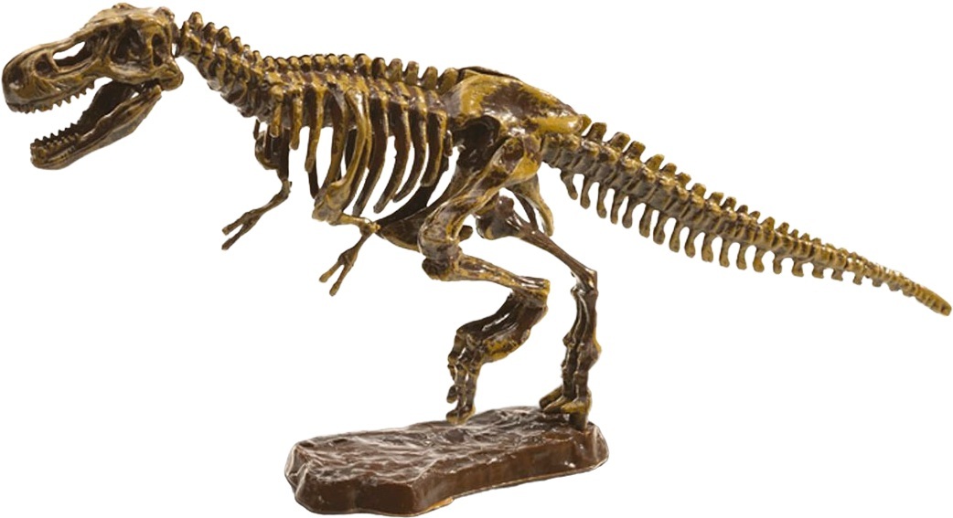 Набор серии "Исследователь" - Раскопки Скелета Тираннозавра (инструменты, "окаменелости") (25028S) фото 2