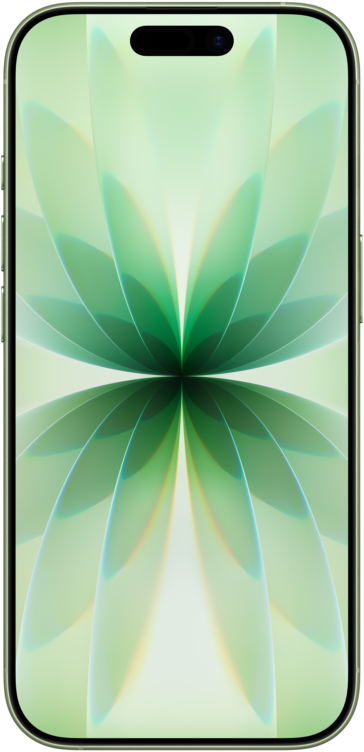 Смартфон Apple iPhone 17 256GB Sage (MG6N4AF/A)фото2