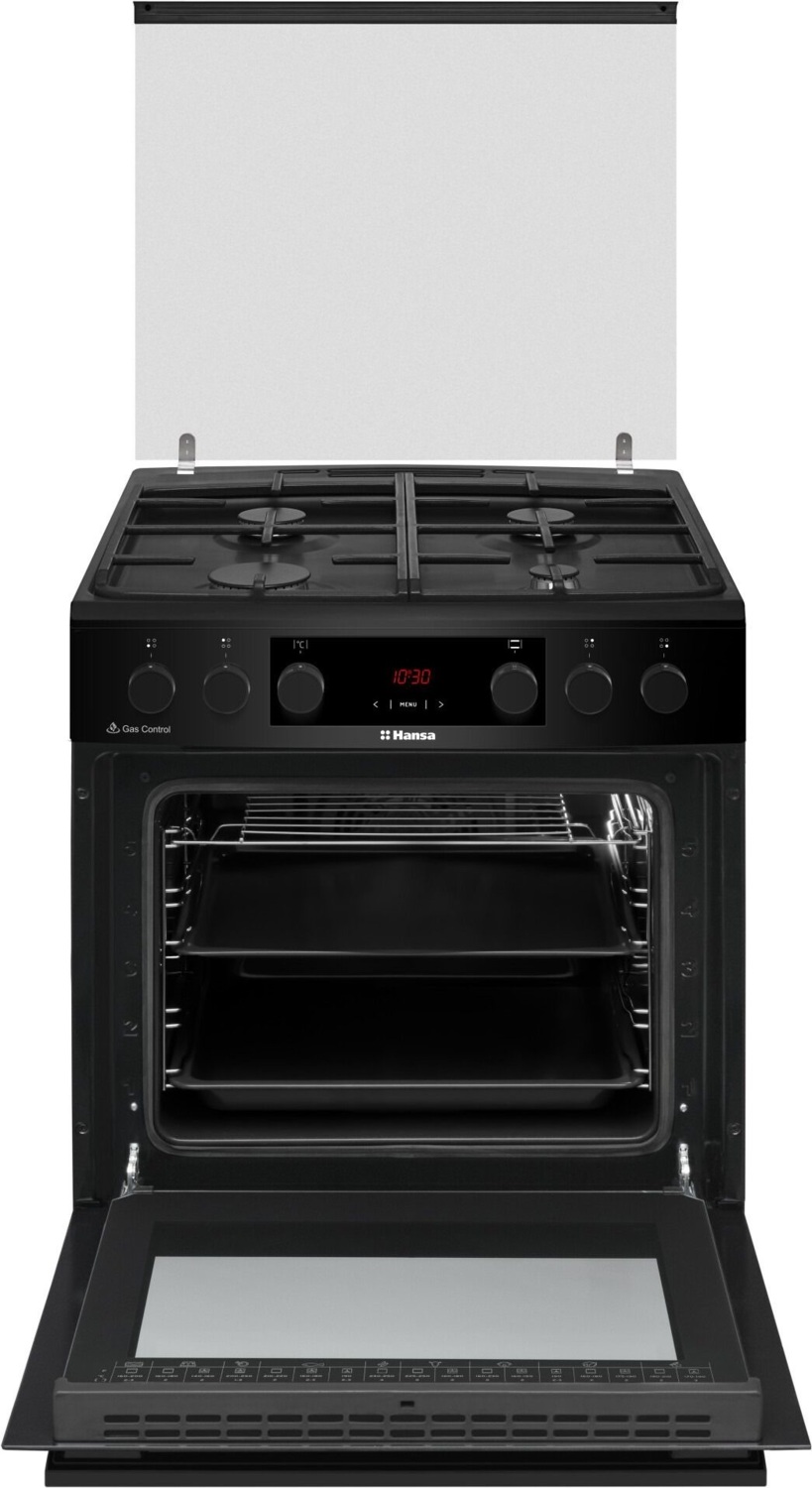 Плита комбінована Hansa FCMM69329фото