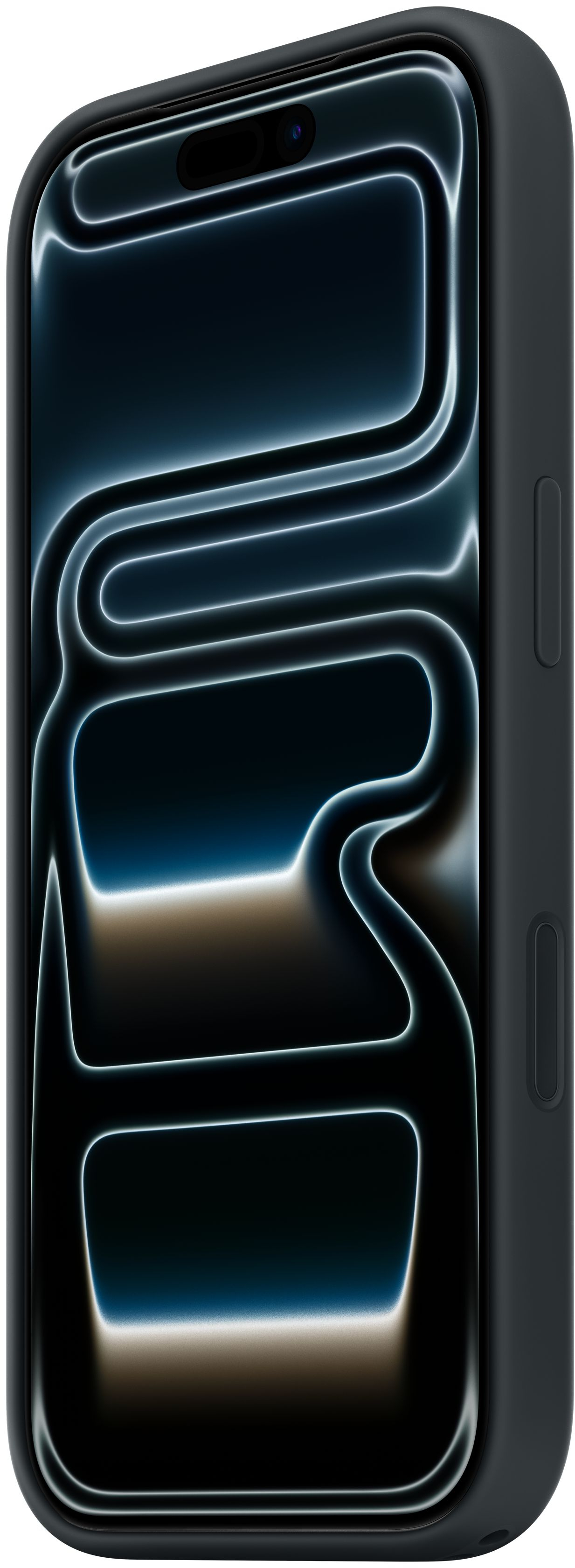 Чехол Apple для iPhone 17 Pro Silicone Case with MagSafe Black (MGFK4ZM/A) фото 