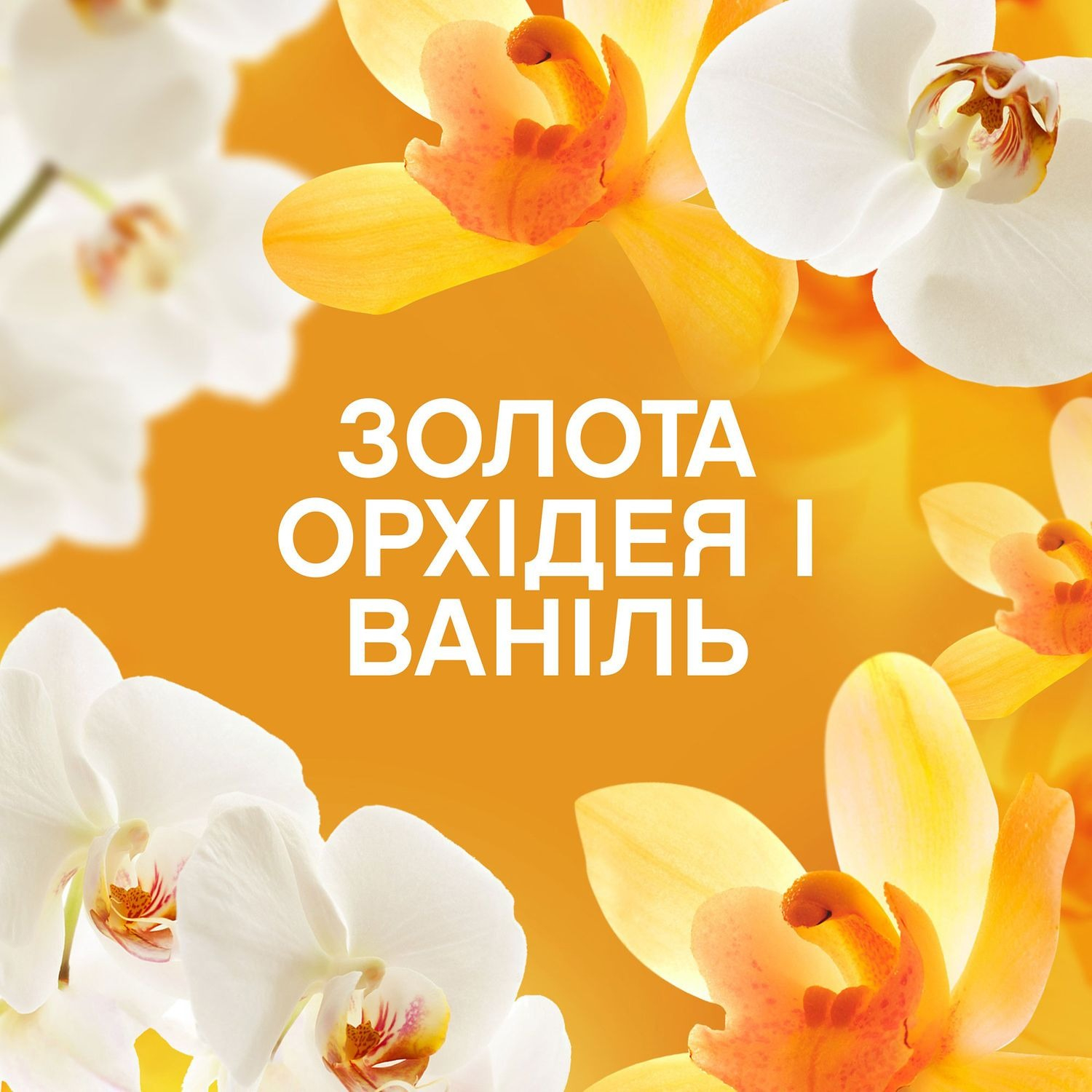 Парфум для прання Lenor Oro & Vaniglia в гранулах 210 гфото7