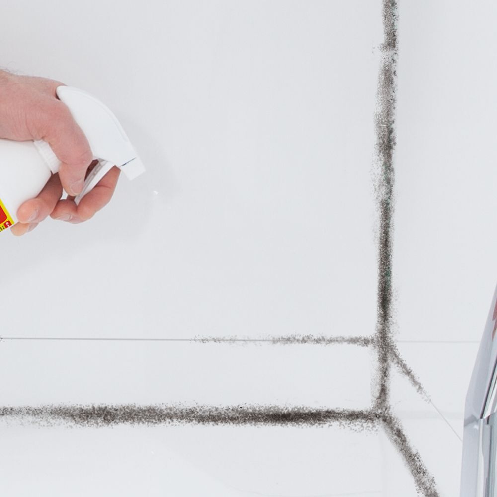 Засіб для видалення грибку і плісняви HG 500 млфото2