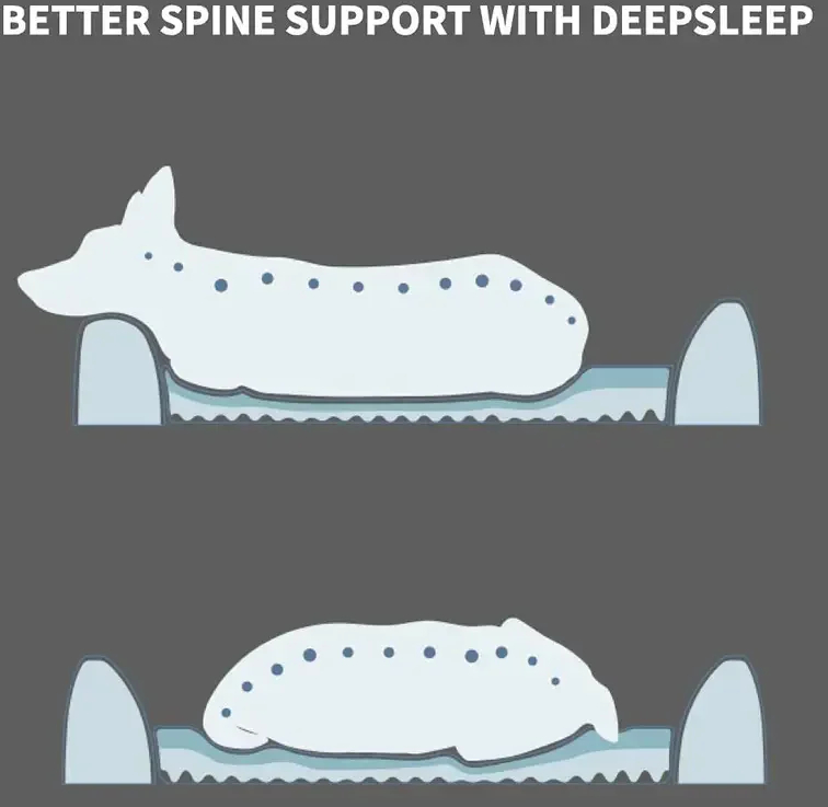 Кровать-лежак Petkit Four Season Pet Bed размер M фото 12