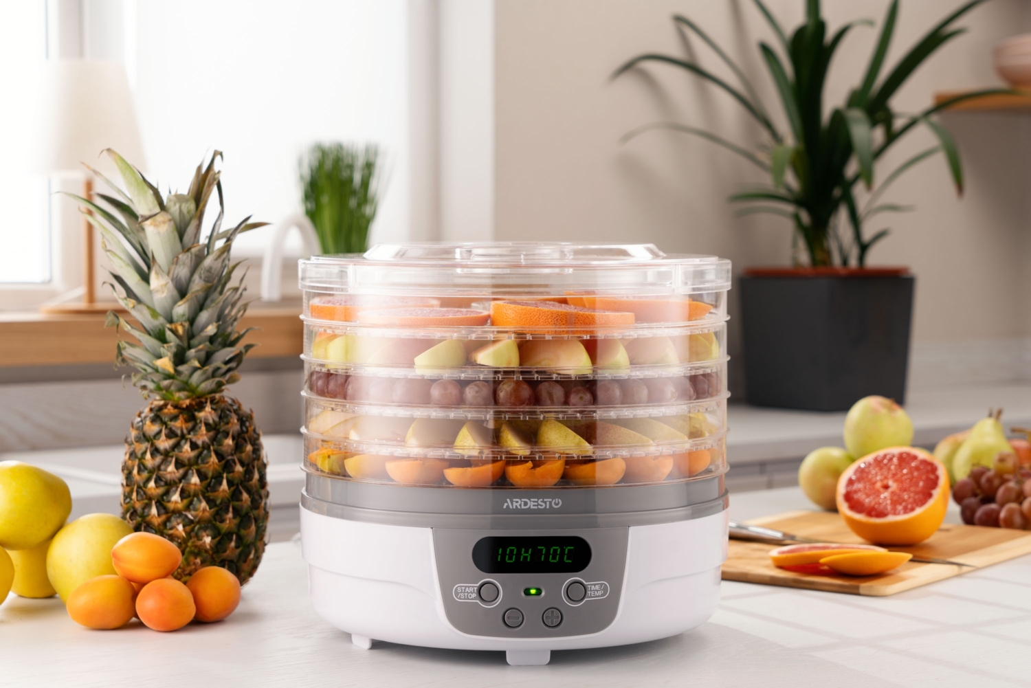 Сушарка для овочів і фруктів ARDESTO FDB-5321T_Saleфото