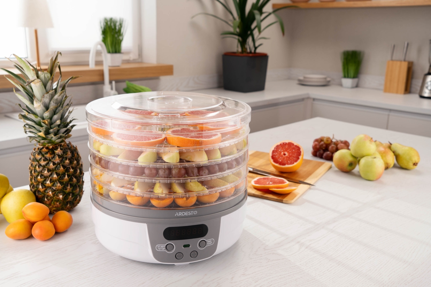 Сушарка для овочів і фруктів ARDESTO FDB-5321T_Saleфото