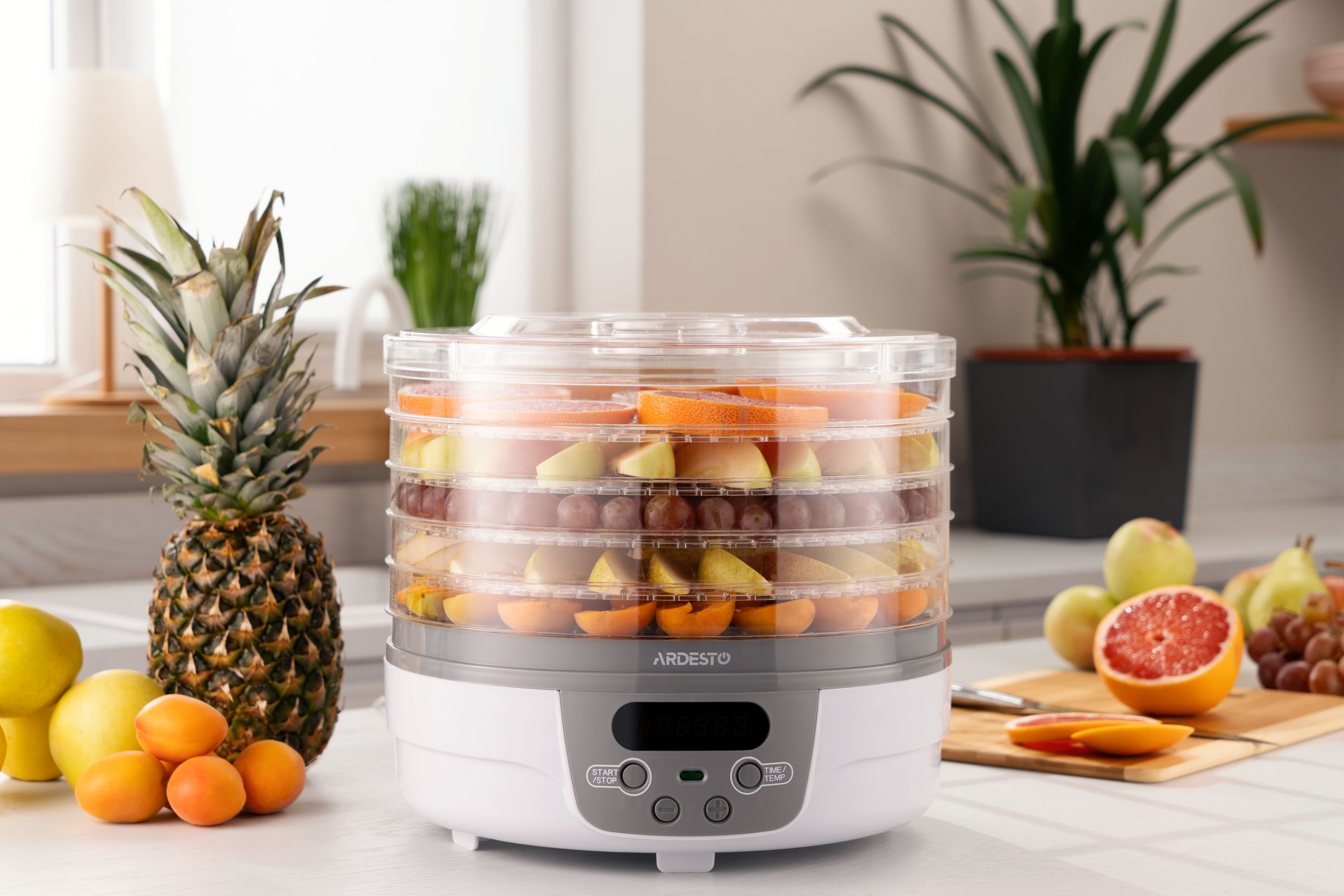 Сушарка для овочів і фруктів ARDESTO FDB-5321T_Saleфото14