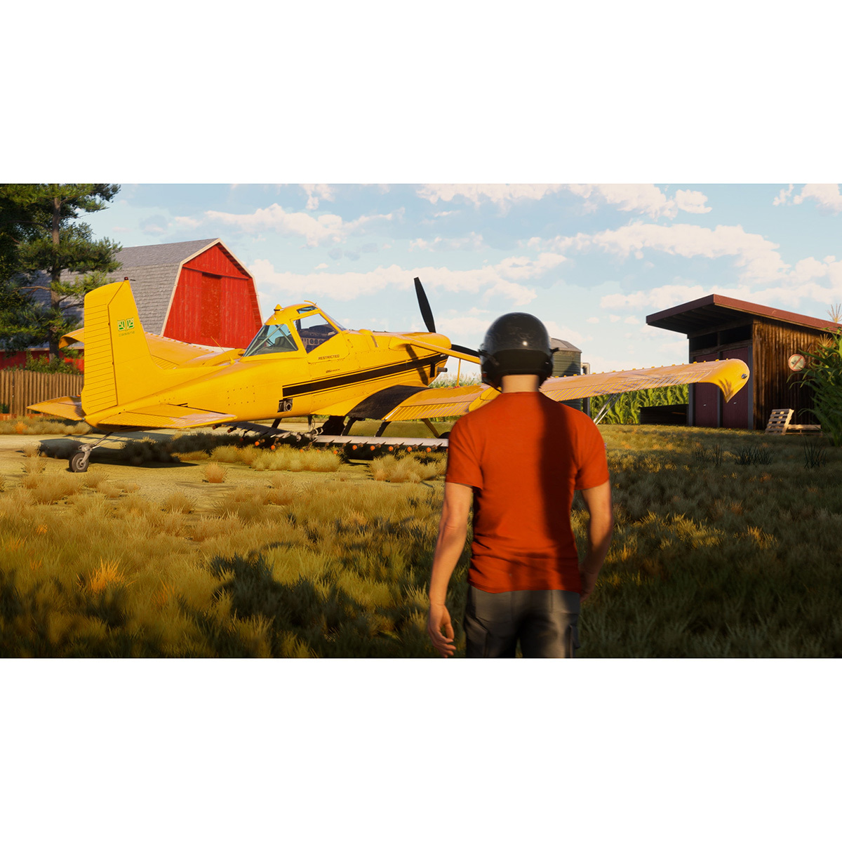 Гра Microsoft Flight Simulator 2024 (PS5)фото4