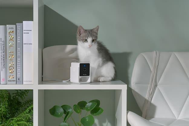 Компактна HD-камера Petcube Camфото