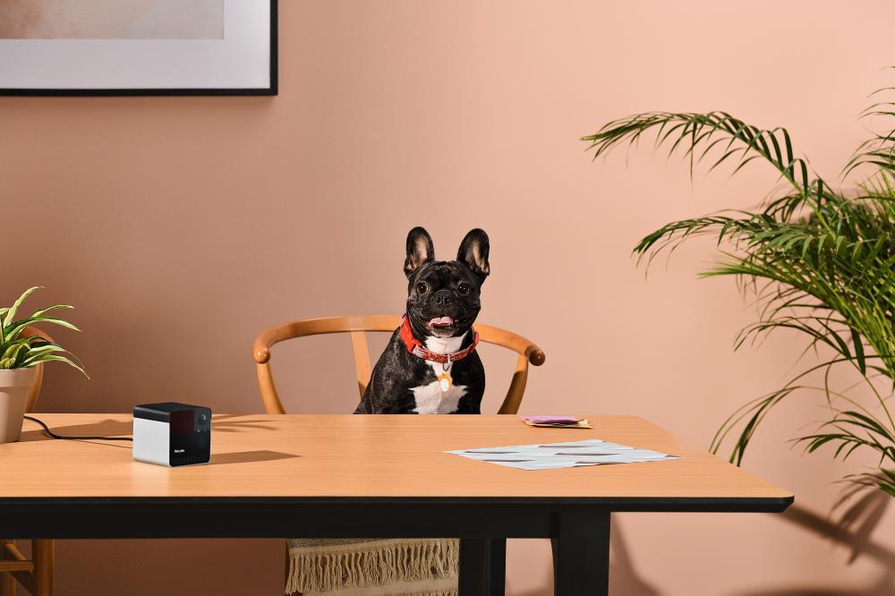 Компактна HD-камера Petcube Play 2фото7