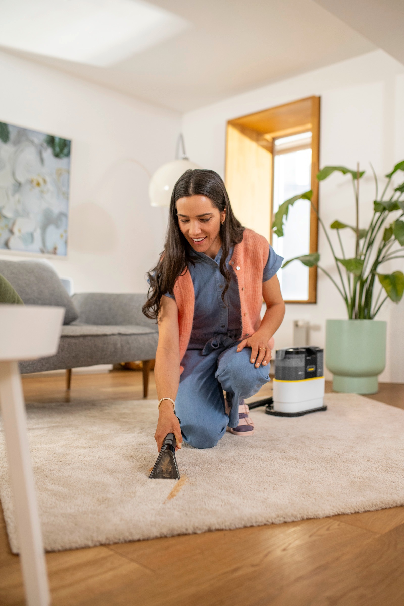 Пылесос профессиональный моющий Karcher SE 2 Spot (1.081-410.0) фото 