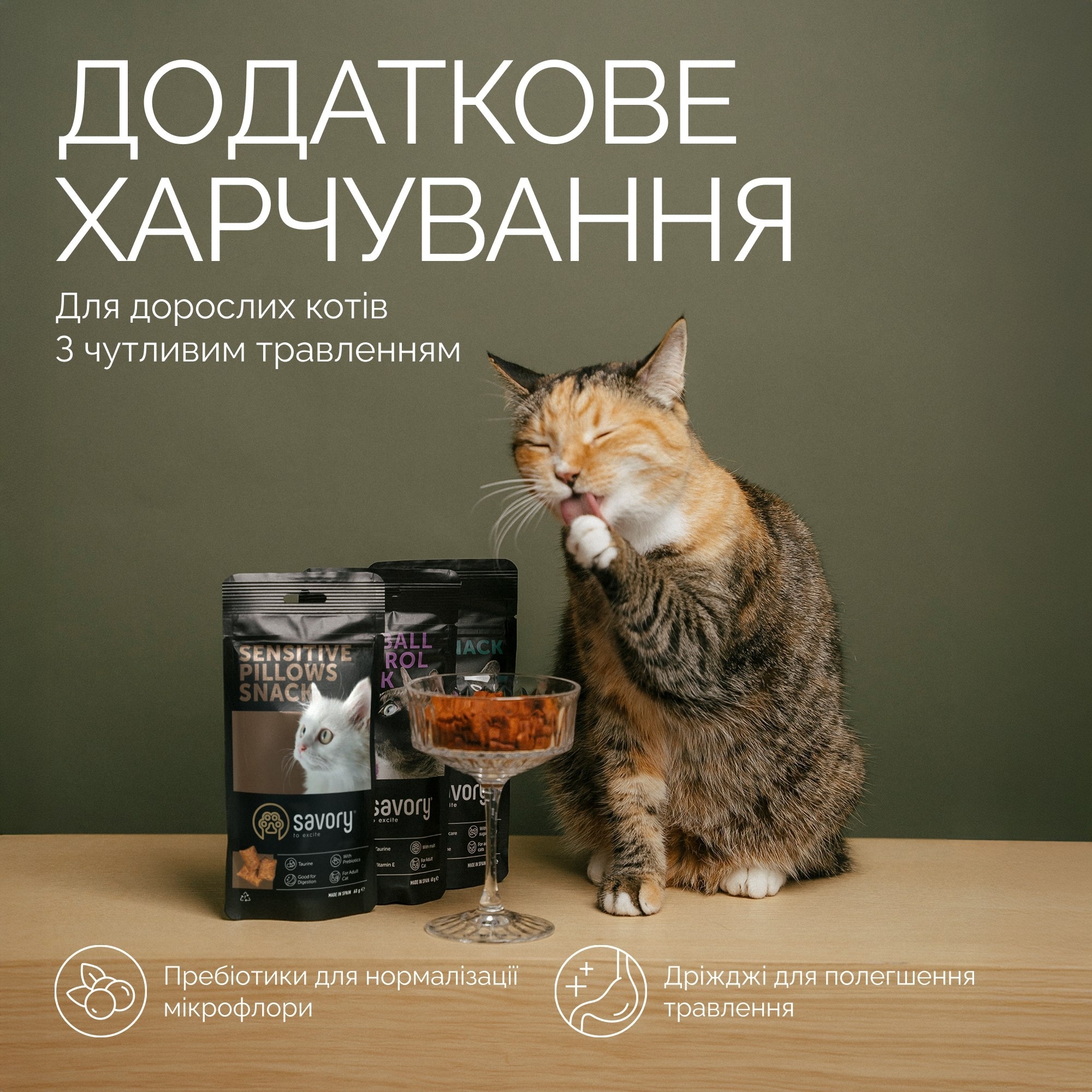 Хрустящие лакомства для взрослых котов с чувствительным пищеварением Savory Cats Snacks Pillows Sensitive 60 г фото 4