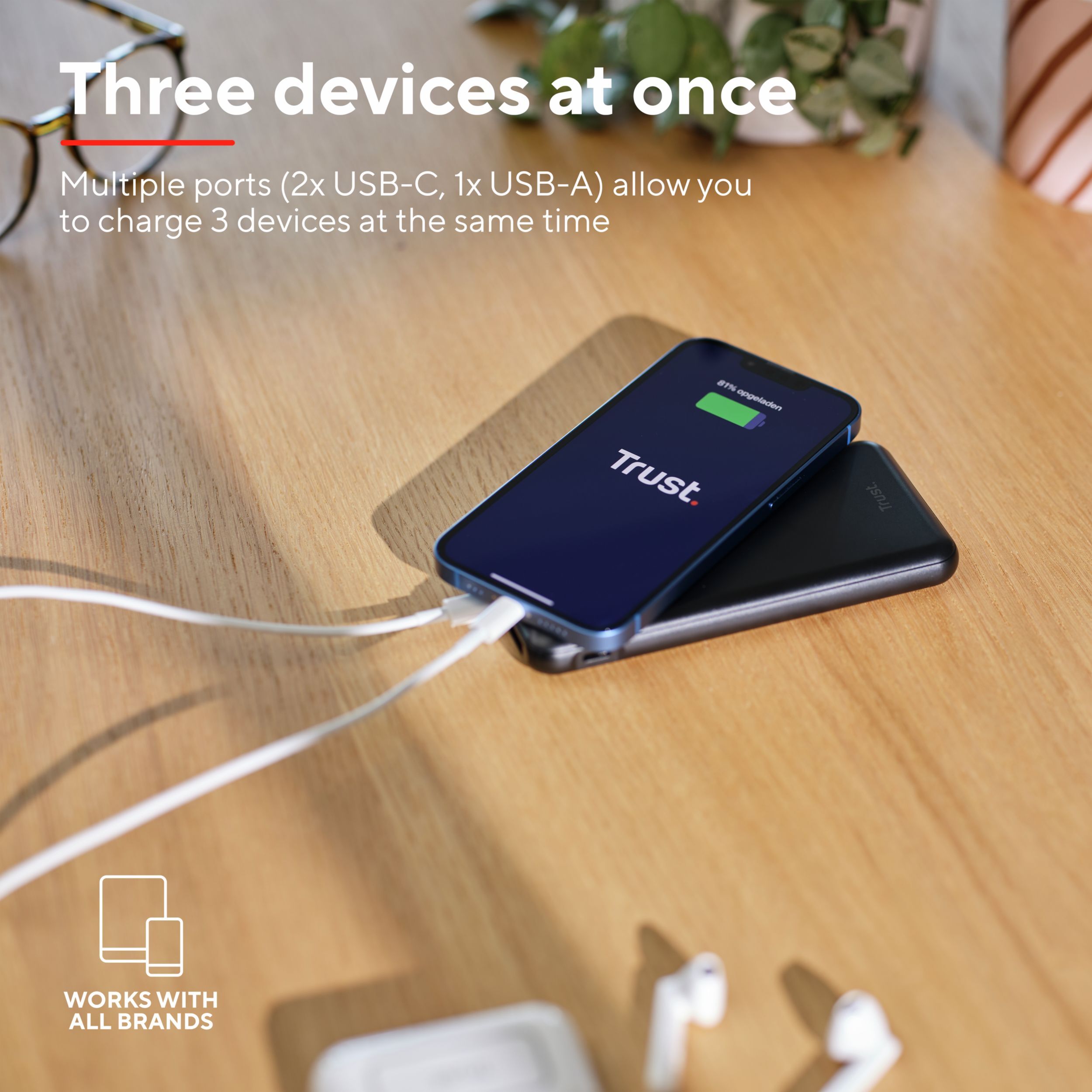 Портативное зарядное устройство Trust Redoh, 10000mAh 18W Black (24879_TRUST) фото 10