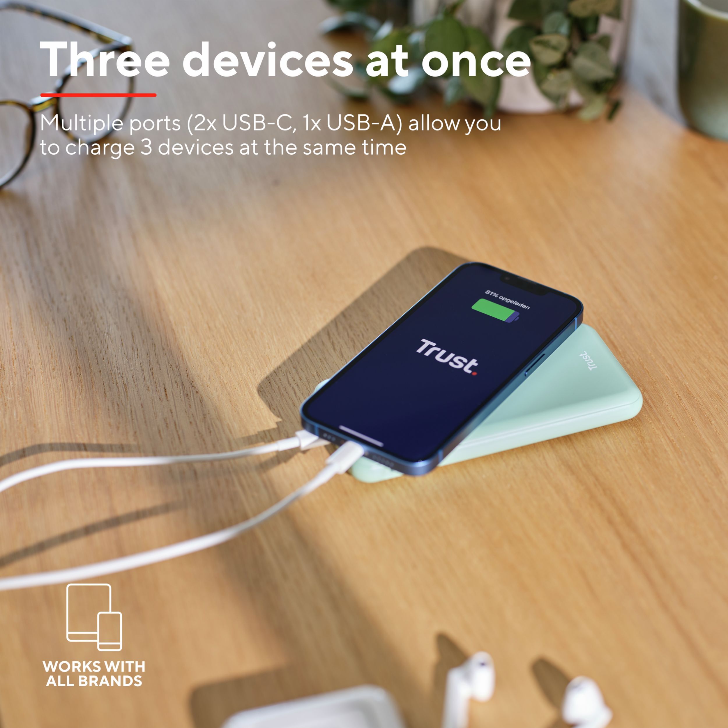 Портативное зарядное устройство Trust Redoh, 10000mAh 18W Green (25033_TRUST) фото 10