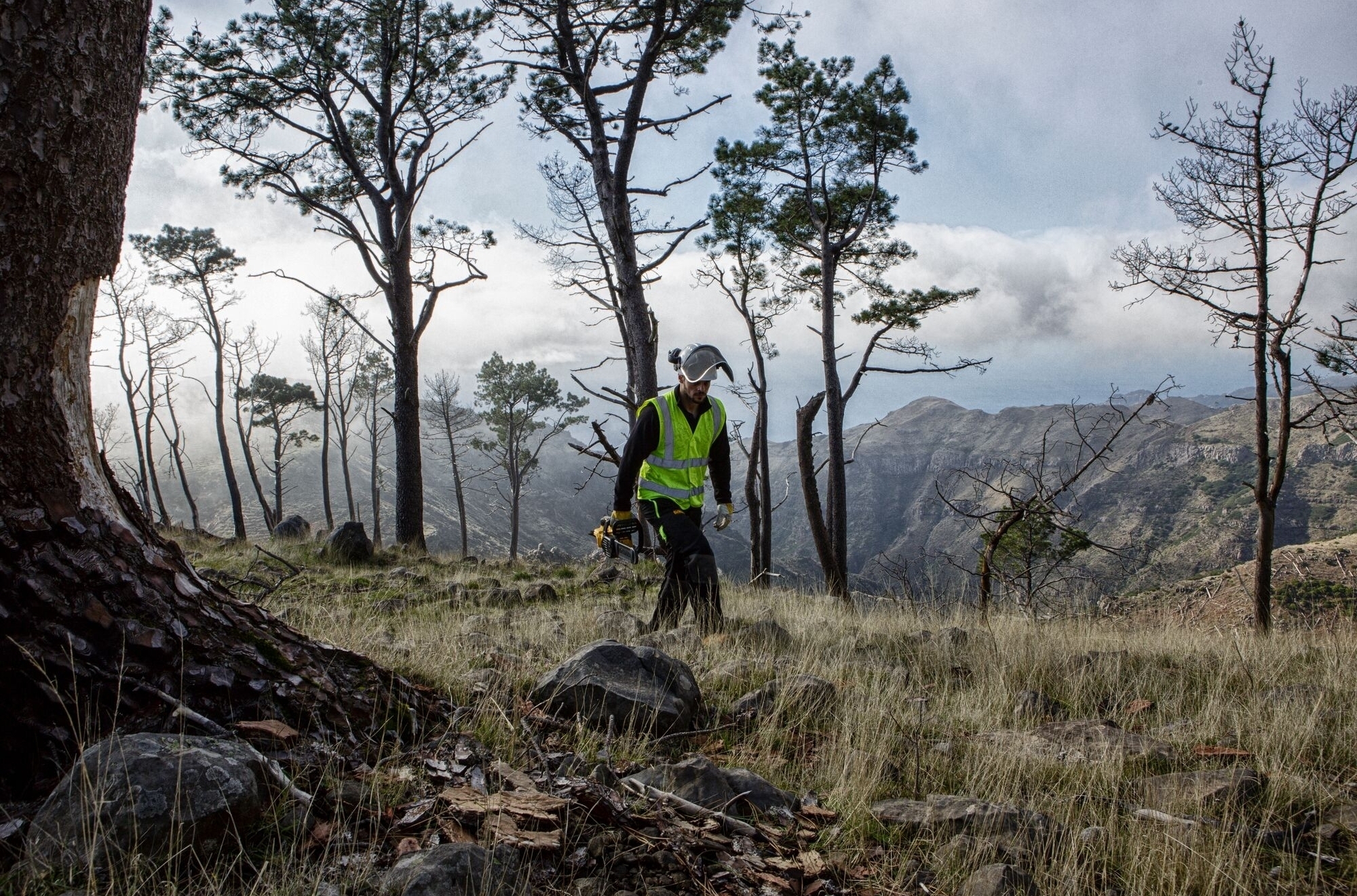Пила цепная аккумуляторная DeWalt бесщеточная 18В без АКБ и ЗУ (DCM565N) фото 