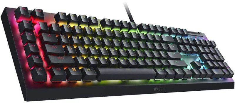 Игровая клавиатура Razer BlackWidow V4 X 110key Black (RZ03-04700800-R3R1) фото 2