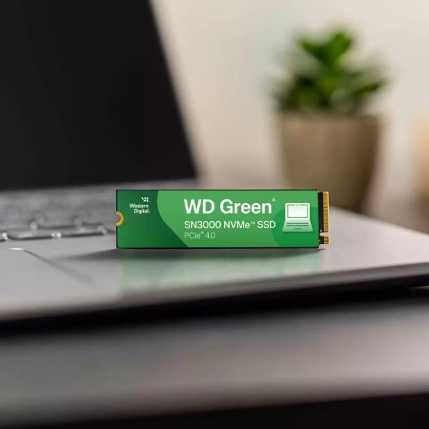 SSD накопичувач WD G4 M.2 NVME 1TB GREEN SN3000 (WDS100T4G0E)фото3
