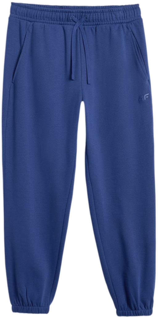 Штани спорт чоловічі 4F Trousers Cas 4FWMM00TTROM1140-031S S синіфото7