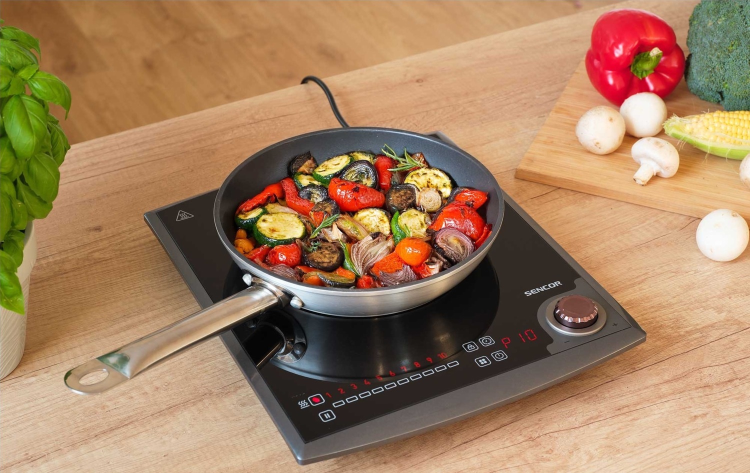 Плита настольная индукционная Sencor SCP3414GY фото