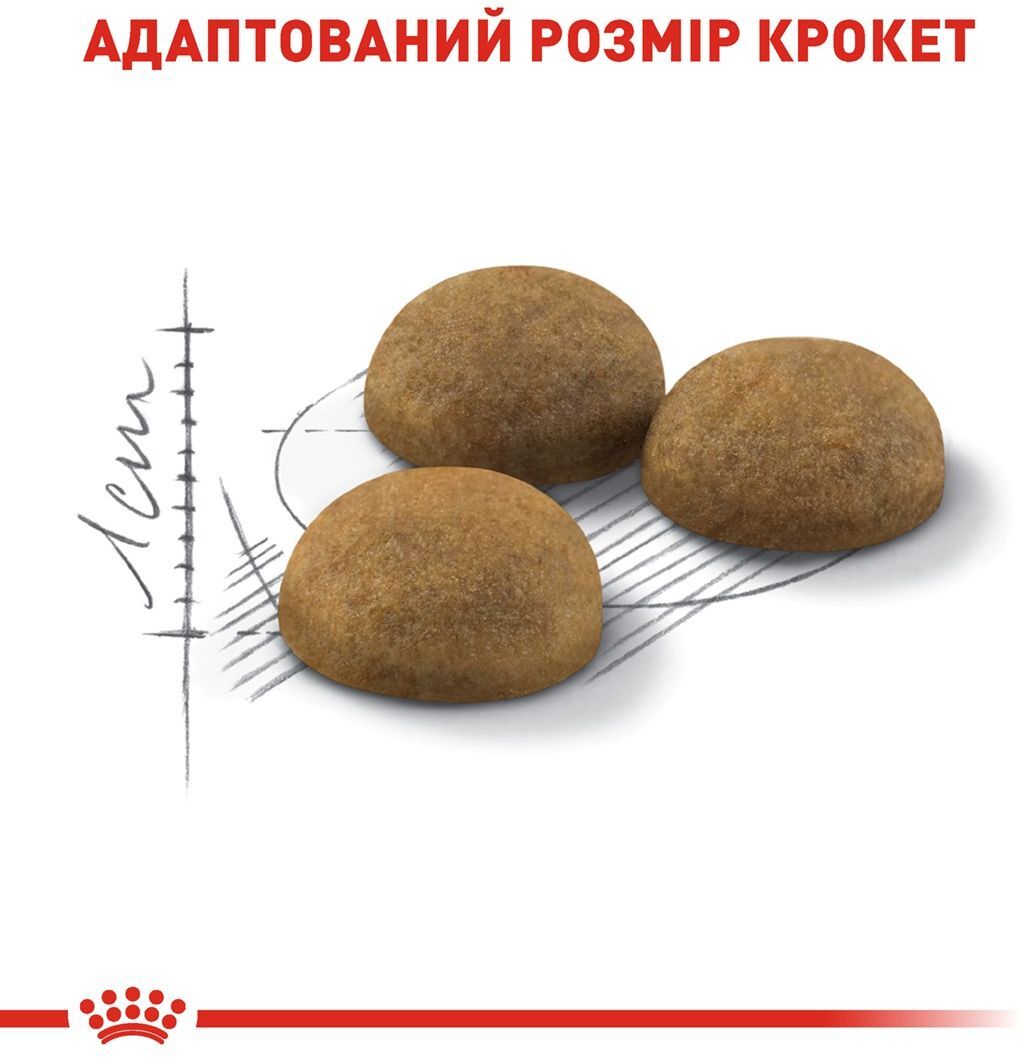Сухой корм для домашніх котів Royal Canin Indoor LongHair 400 г фото 4