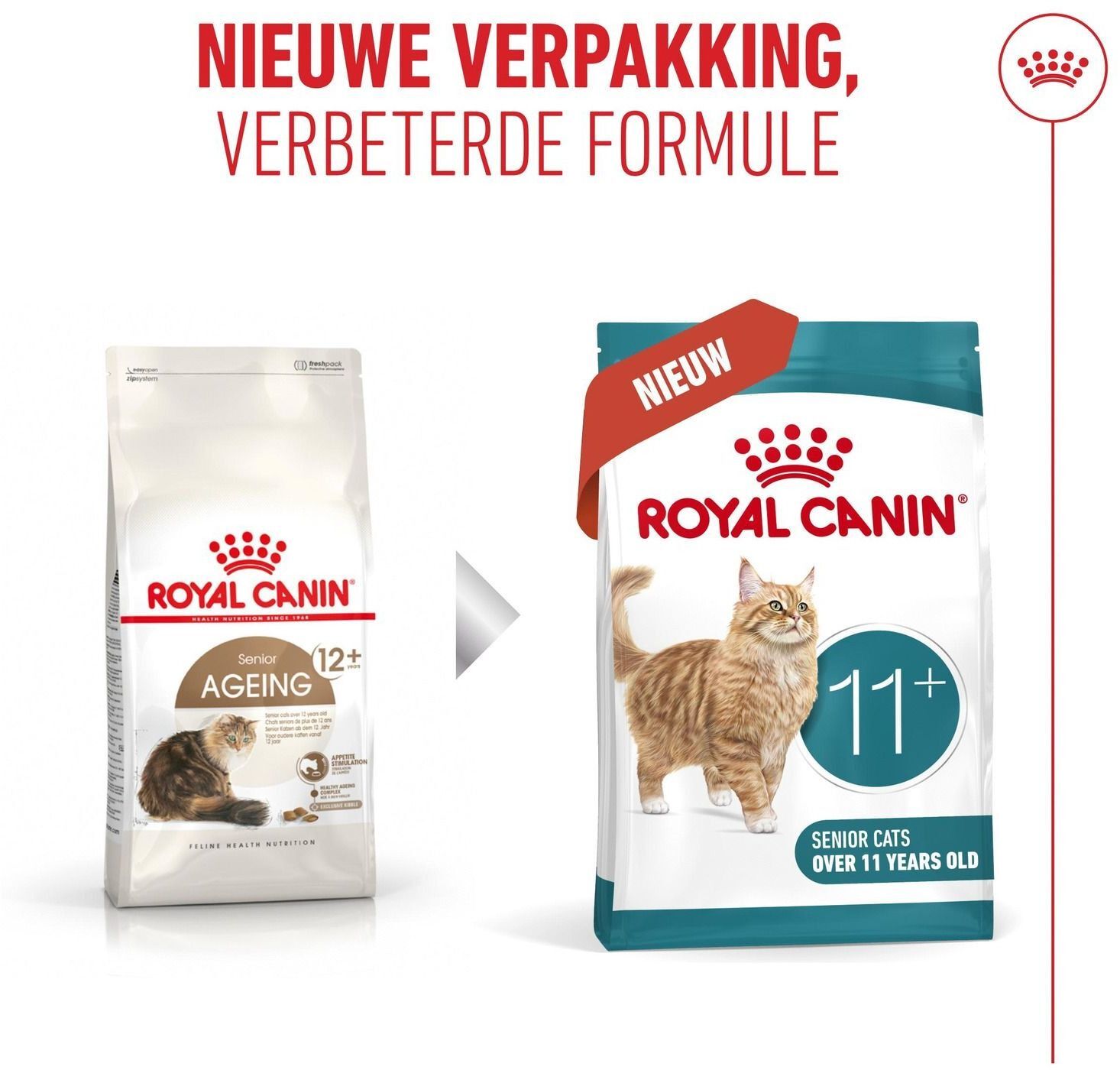 Сухий корм для котів віком від 11 років Royal Canin Ageing 11+ 2 кгфото12