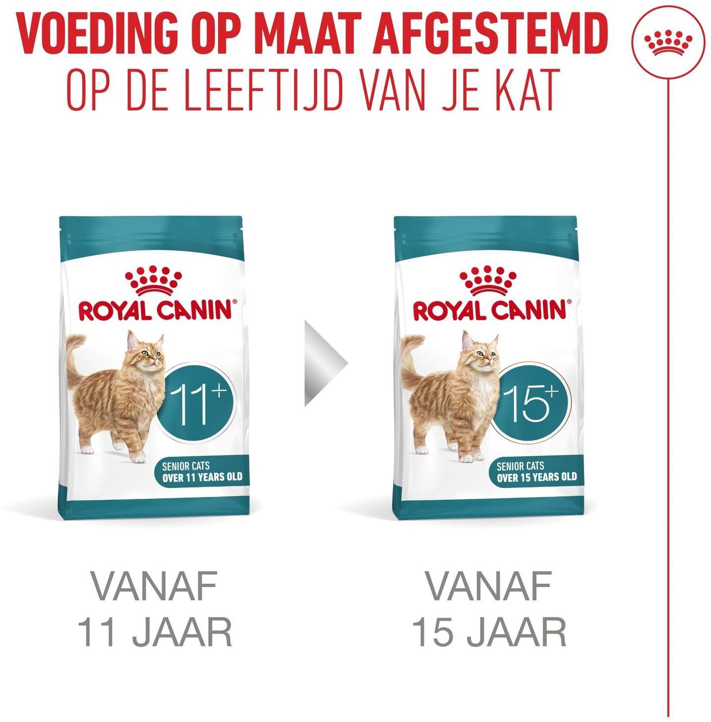 Сухий корм для котів віком від 11 років Royal Canin Ageing 11+ 2 кгфото8