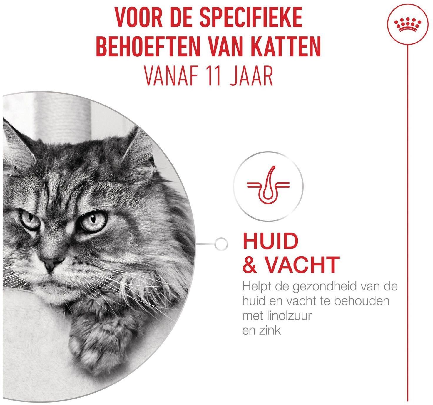 Сухий корм для котів віком від 11 років Royal Canin Ageing 11+ 2 кгфото5
