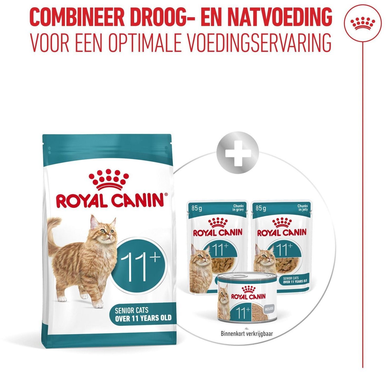 Сухий корм для котів віком від 11 років Royal Canin Ageing 11+ 2 кгфото9