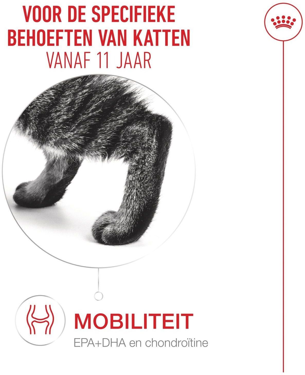 Сухий корм для котів віком від 11 років Royal Canin Ageing 11+ 2 кгфото2