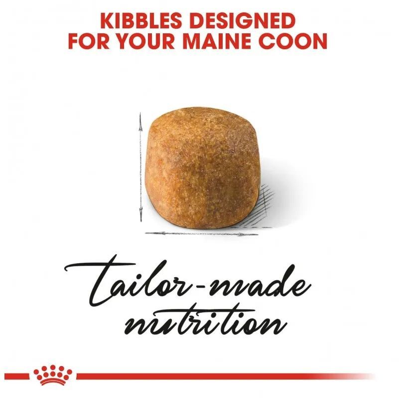 Сухой корм для взрослых котов Royal Canin Mainecoon Adult 4 кг фото 2