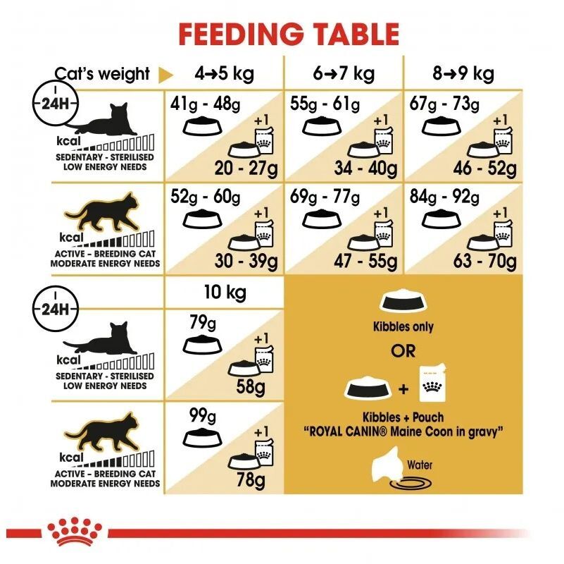 Сухой корм для взрослых котов Royal Canin Mainecoon Adult 4 кг фото 4