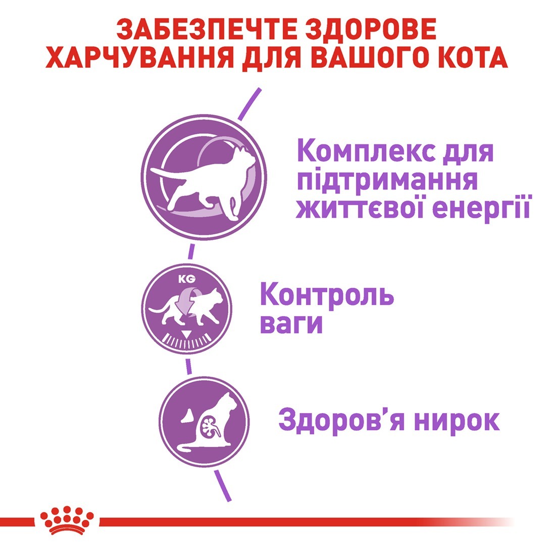 Сухий корм для дорослих стерилізованих кішок Royal Canin Sterilised 7+ 400 гфото
